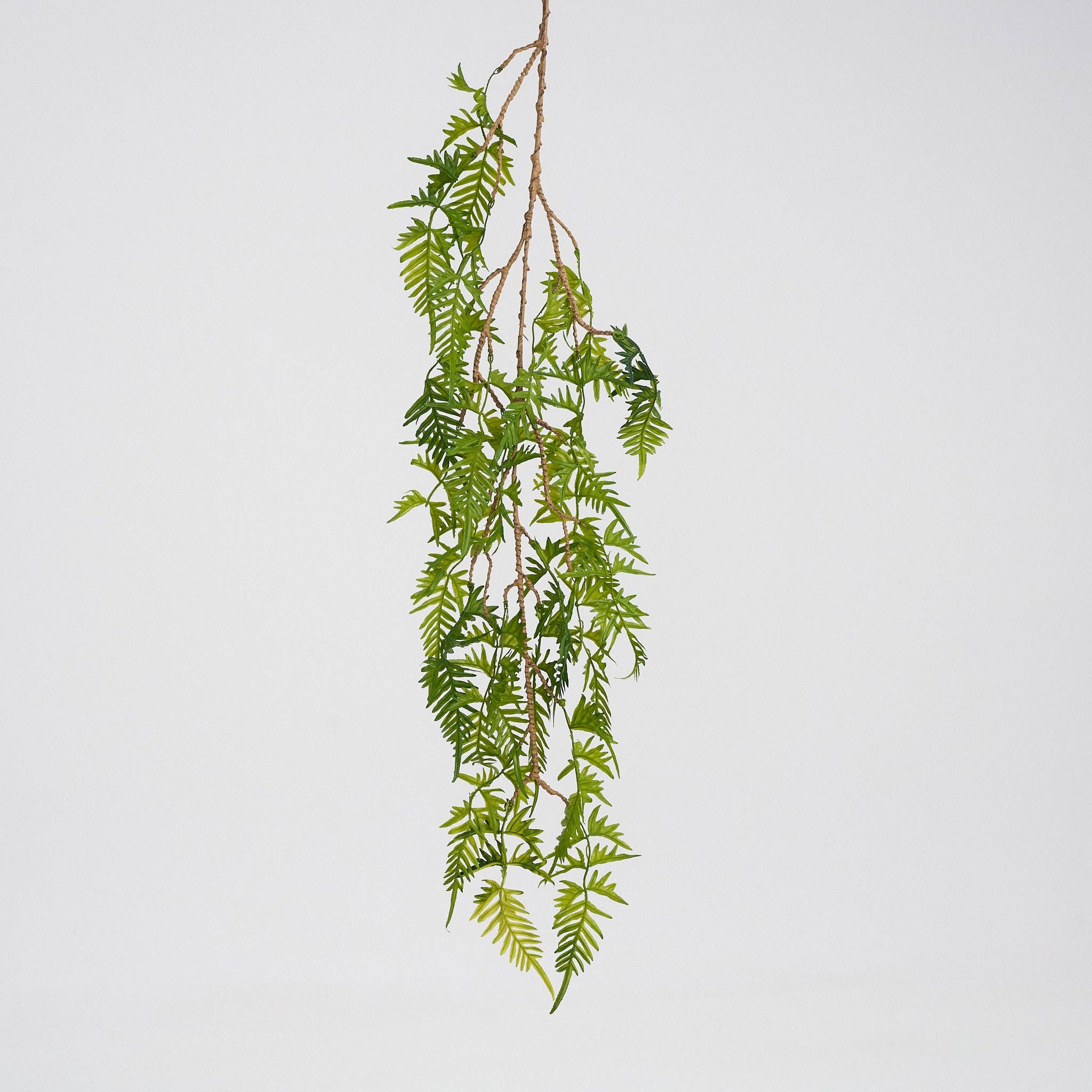 Maia Shop – wholesale Artificial plant – Artificial Hanging Serrated Fern1