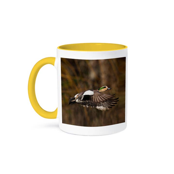 3dRose - Wholesale Coffee mug - 3dRose, American Wigeon Taking Flight, Mug