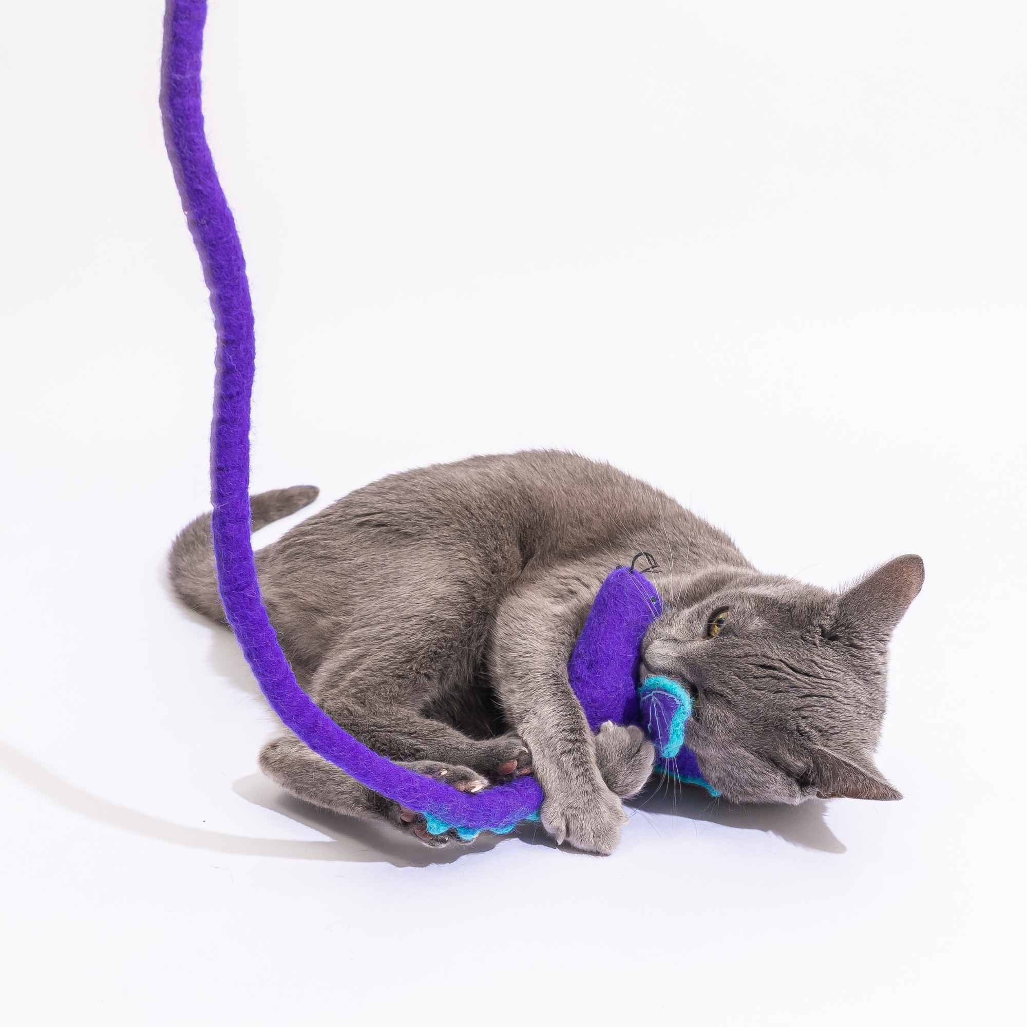 Cat in the Box LLC – wholesale Leksak - Katt – Ullmus Kattleksak med 6-fots svans - röd regnbågsenhörning drake11