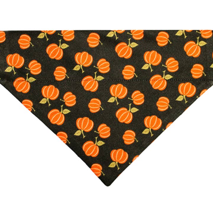 Svart pumpa husdjurshalsduk för wholesale av Mutty Mornings