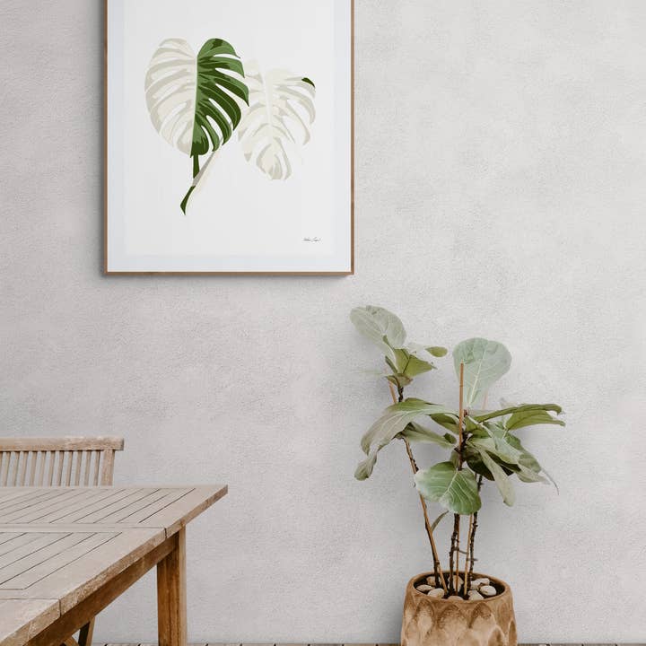 Monstera variegata per la vendita all'ingrosso da parte di Misha Hawaii Home