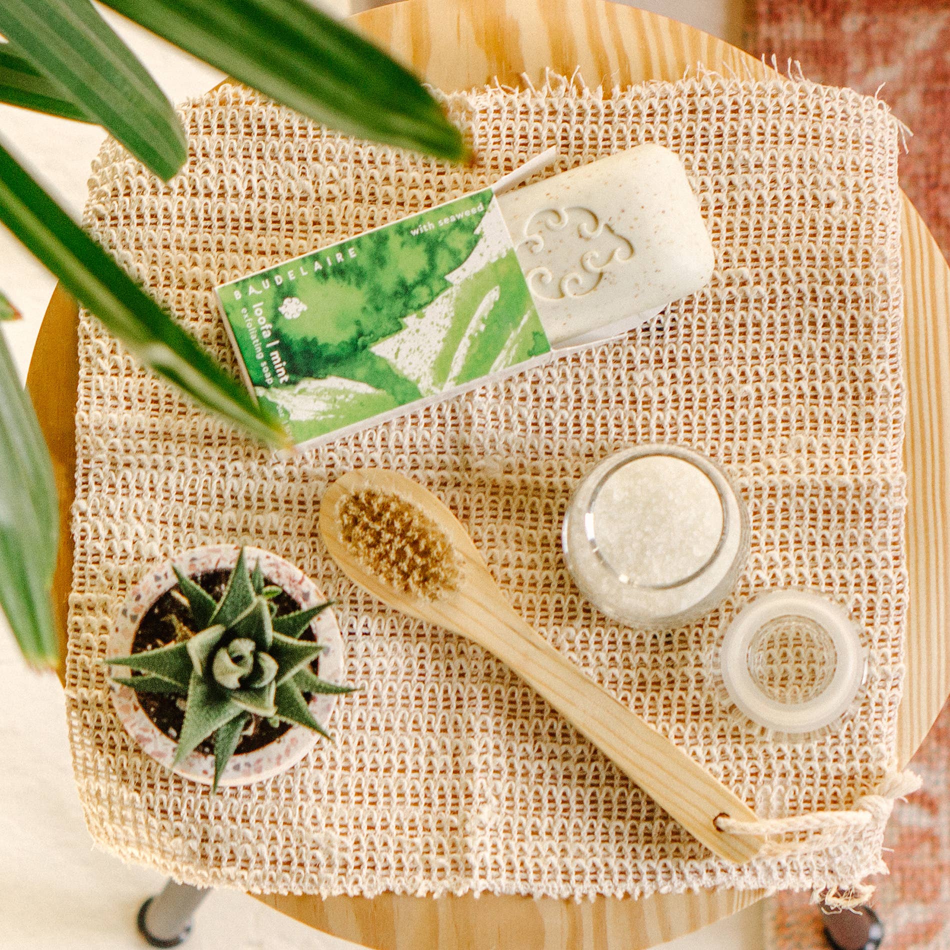 Baudelaire - Wholesale Body Brush - Cedar 9" Long-handle Complexion Brush1