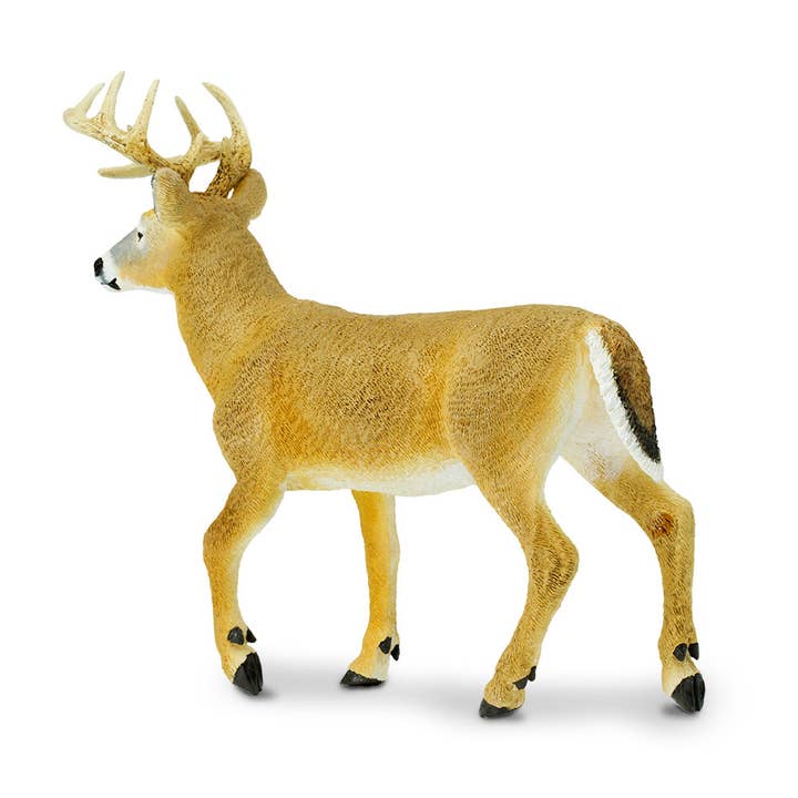 Safari Ltd. - Wholesale Figurine Toy - Kids - Whitetail Buck - 1135893