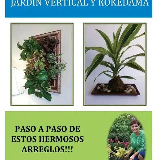Books by splitShops - Wholesale Home & Garden - Jardín Vertical y Kokedama. Paso a Paso: Paso a Paso para elaborar de una manera fácil y sencilla un Jardín Vertical y Kokedama. Especial para los ama - Paperback