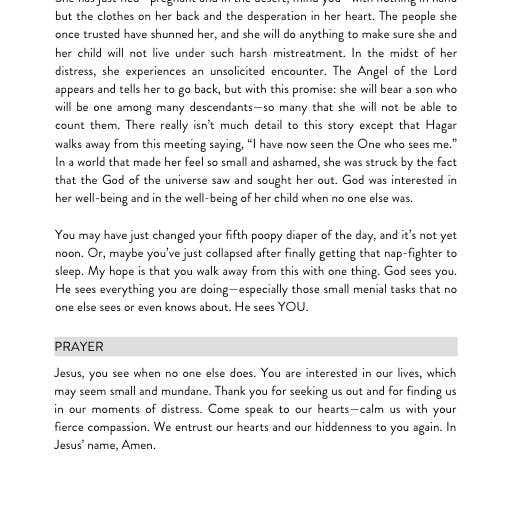 Wheat and Honey Co. - Wholesale Religion Book - Washed: A Motherhood Devotional about Postpartum9