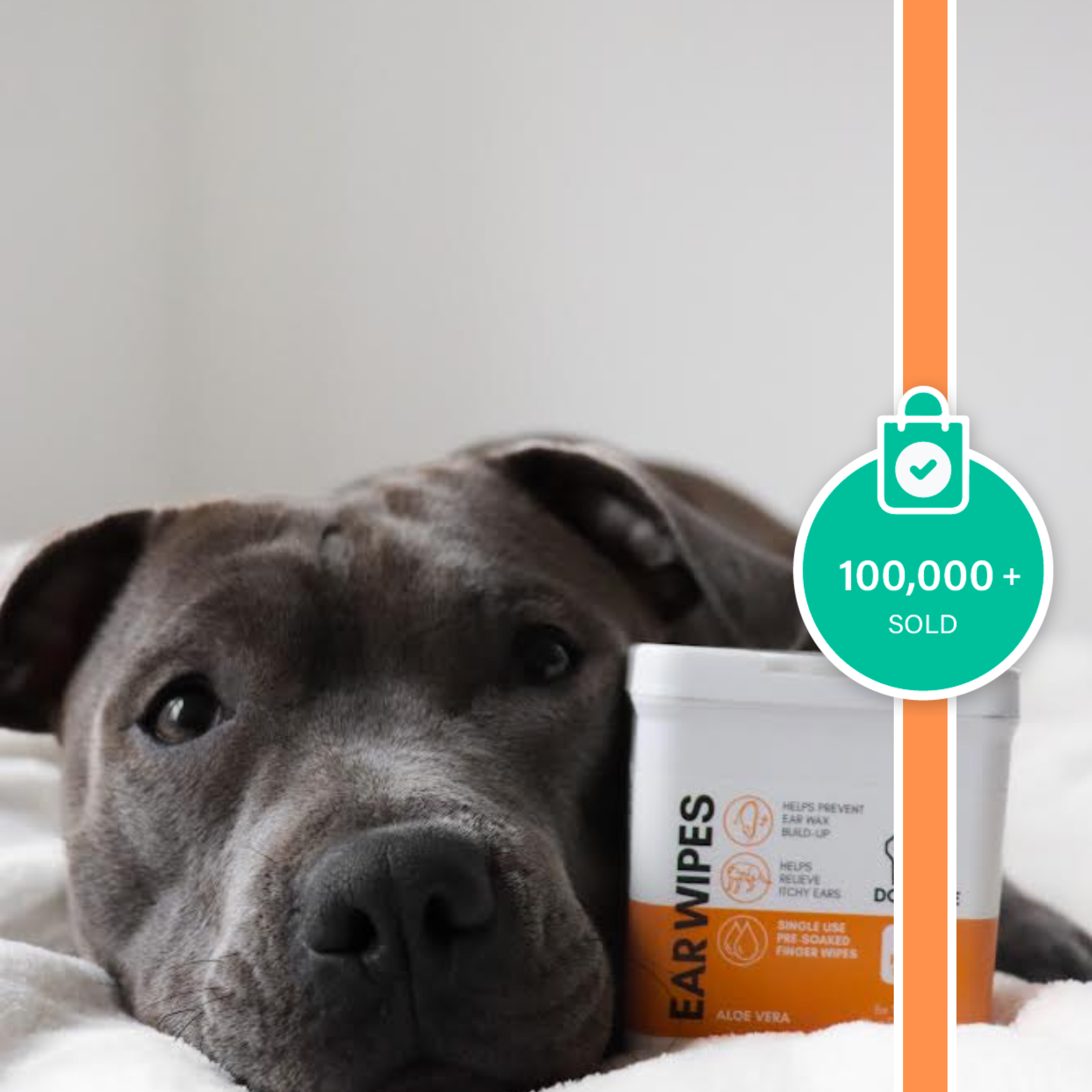 OurPetsLife – wholesale Pet grooming aid – Dog – Dog Ear Wipes10