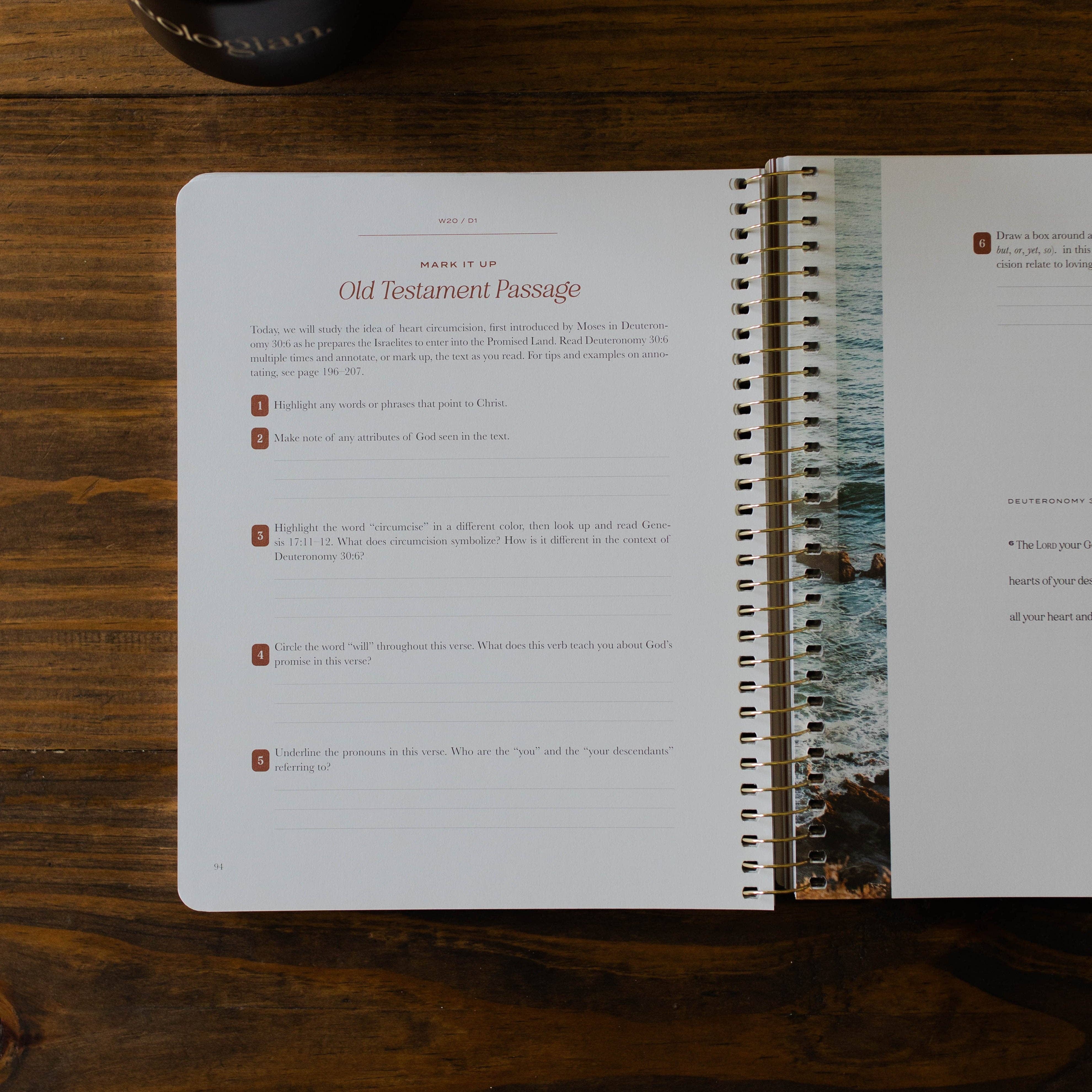 The Daily Grace Co - Vente Religion - Le Christ dans toutes les Écritures | Volume 2 | Hommes6