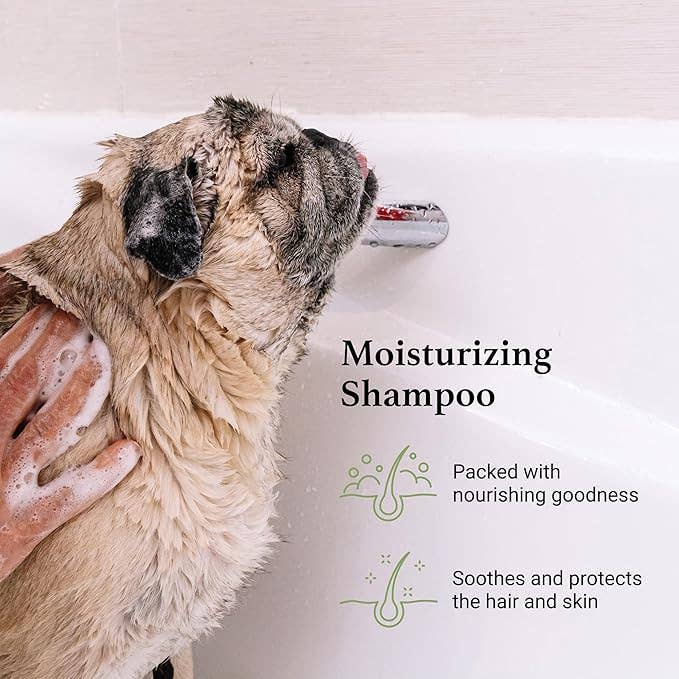 iGroom - Wholesale Pet Shampoo - Dog - Argan + Vitamin E Moisturizing Shampoo 16oz5