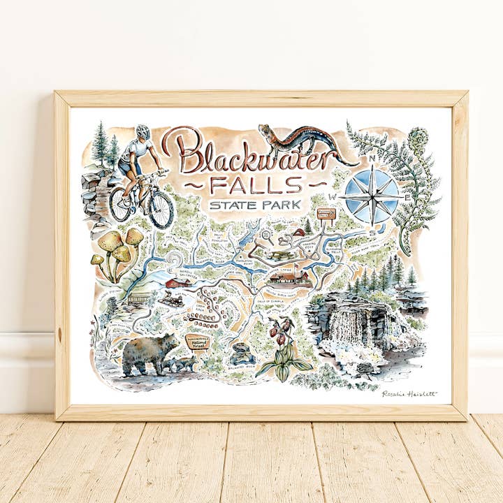 Rosalie Haizlett Illustration - Wholesale Art Print - Blackwater Falls State Park Map - Watercolor Art Print