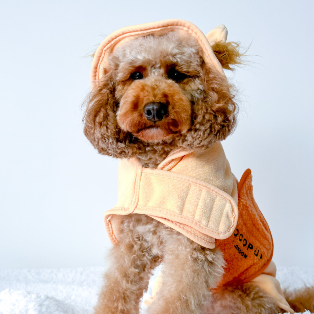 Cocopup London - Venta al por mayor Sudadera - Perros - Bata para secar perros Roary el León10