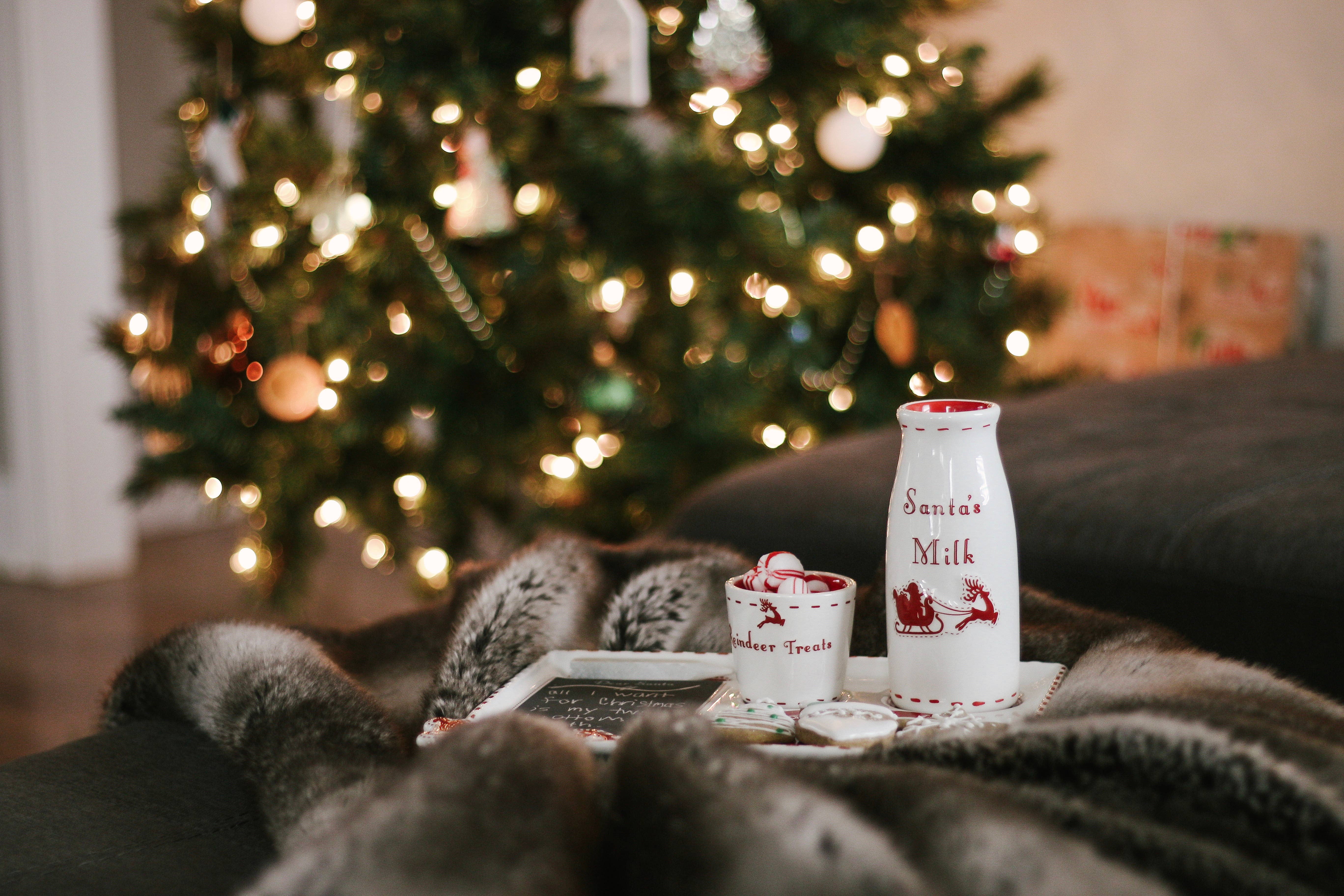 Child To Cherish® - Wholesale Christmas Decoration - Santa's Cookie Platter with Cutters4