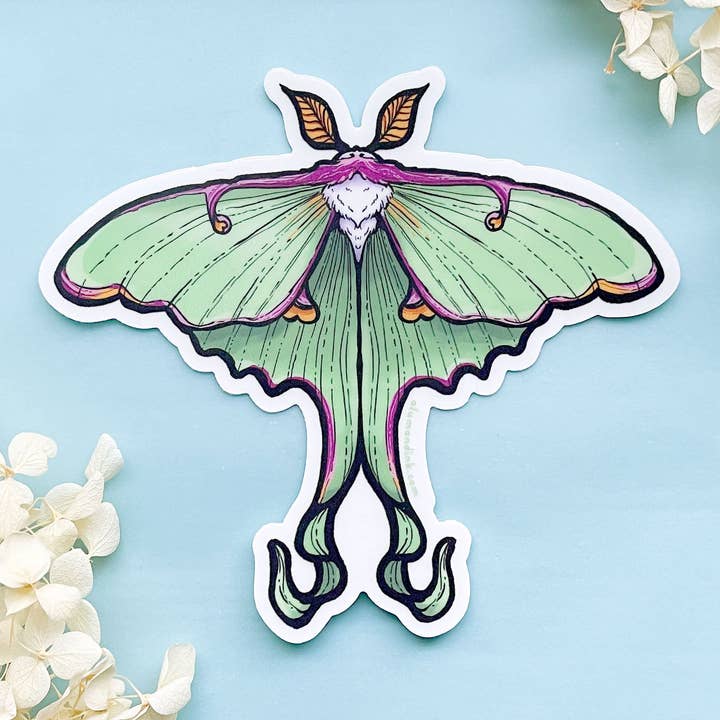 Luna Moth Clear Vinyl Sticker for wholesale by Alum and Ink