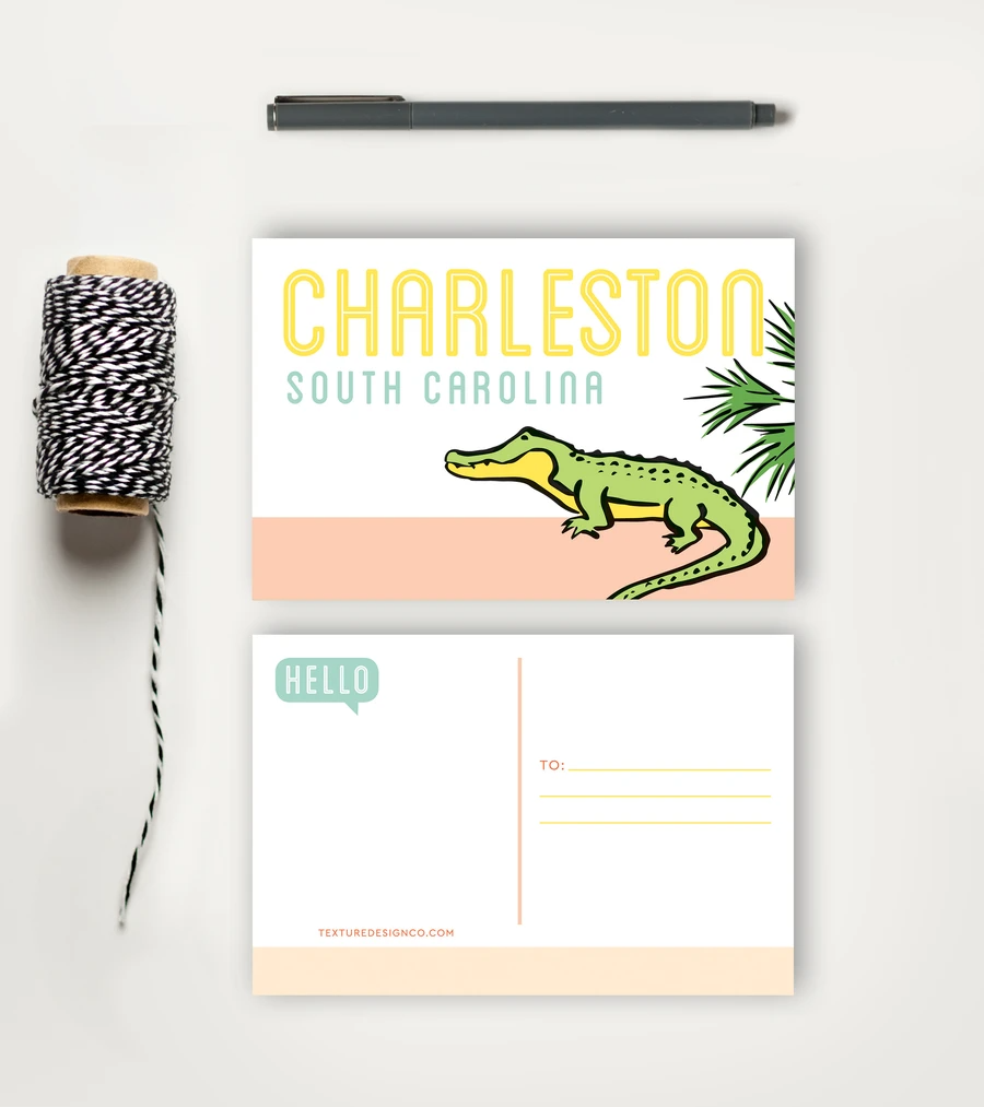 Texture Design Co - Wholesale Postcard - Charleston Alligator Sightseeing Postcard0
