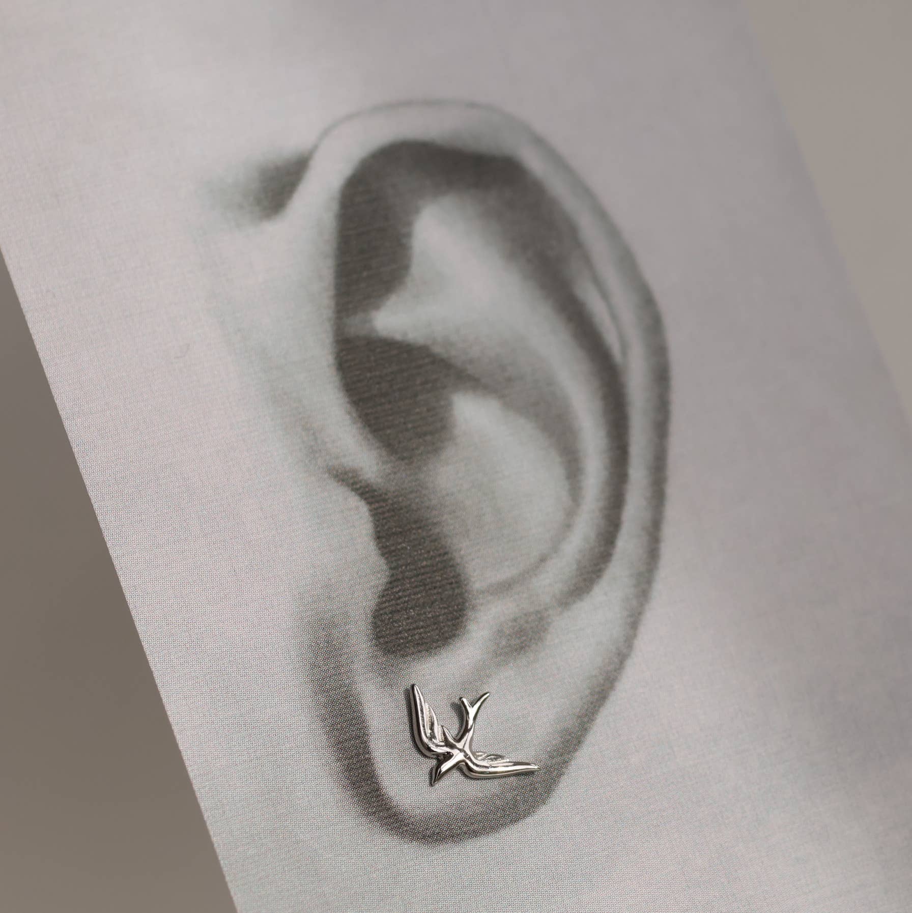 Silk Purse, Sow's Ear - Wholesale Stud/Post Earrings - Sterling Silver Swallow Bird Stud Earrings3