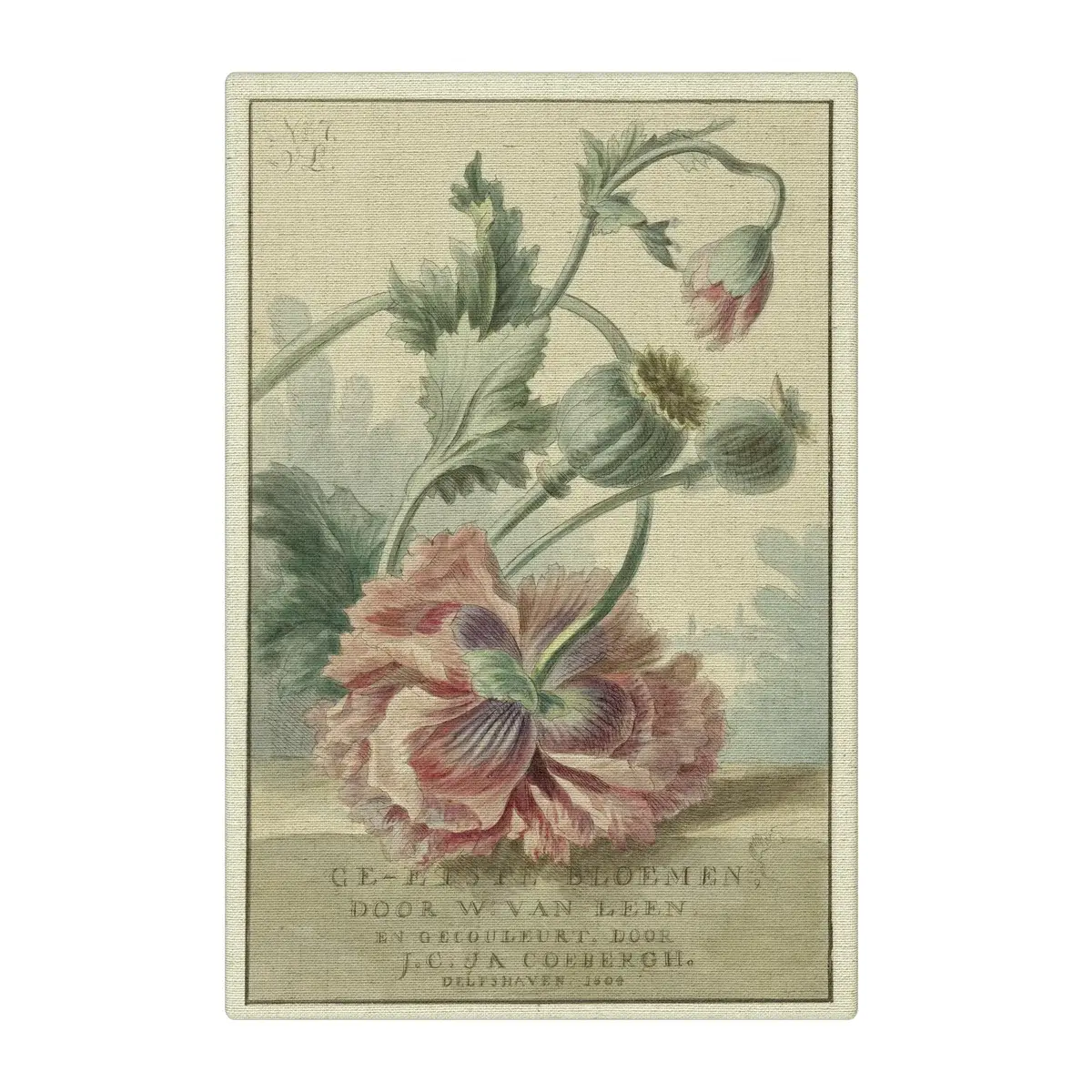 SPLASHWORKS - Vente Affiche d'art - No 7 Flower Ad - Art mural imprimé sur tissu0