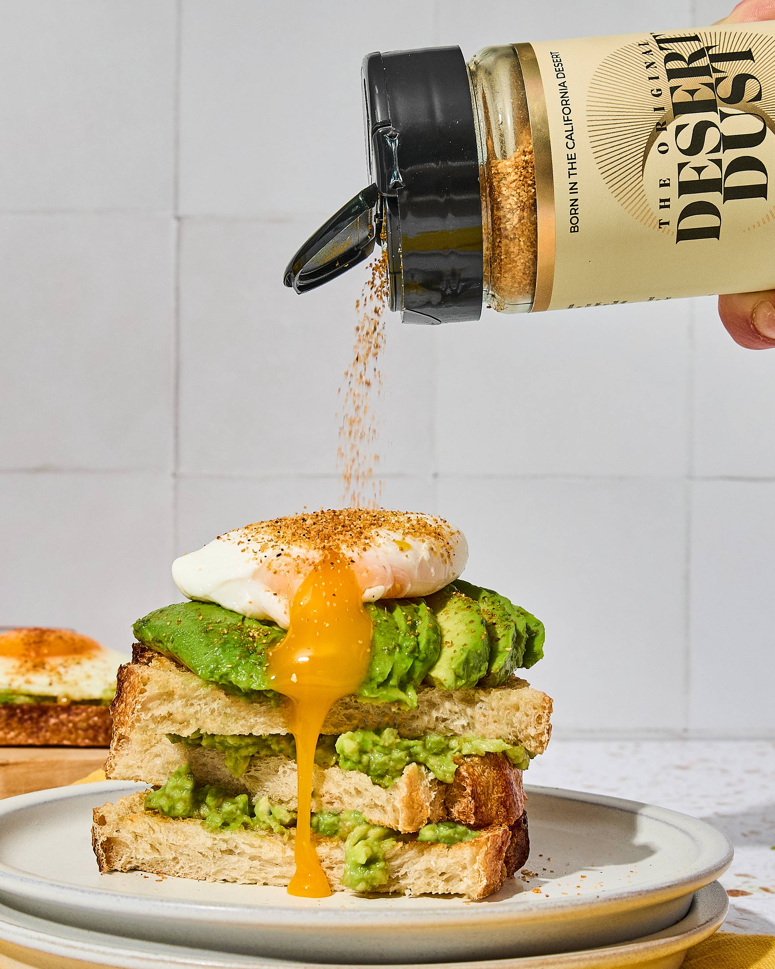 Desert Dust - Wholesale Dried Spice Mix - ORIGINAL Desert Dust All-Purpose Seasoning ft. Dates3