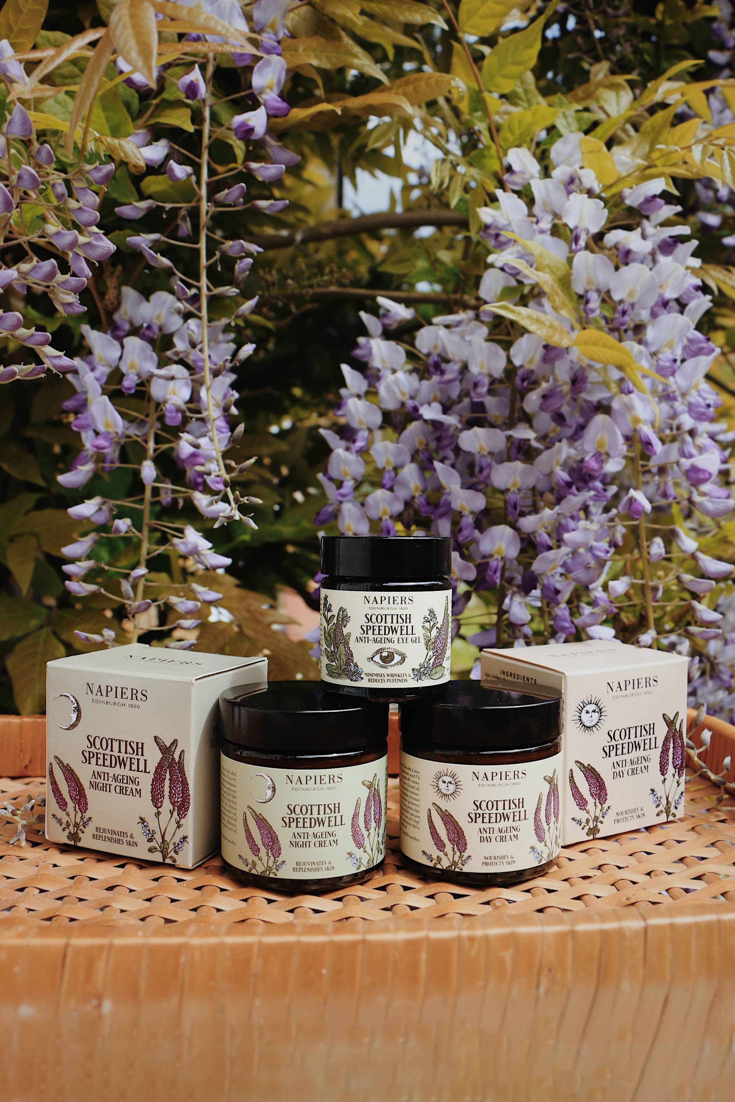 Napiers - Venta al por mayor Cremas hidratantes antiedad - Crema de día Napiers Speedwell Ageless8