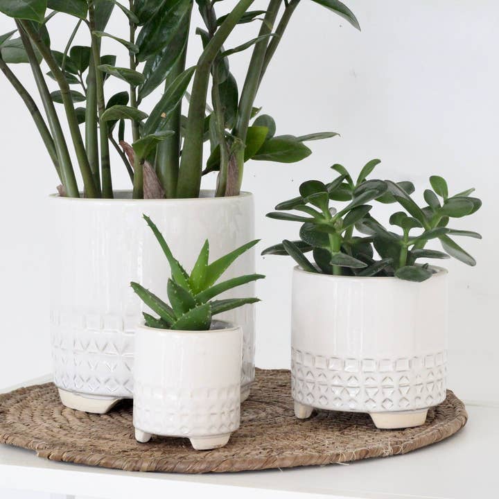 Mini White and Beige Ceramic Footed Planter Pot for wholesale by Sprout & About