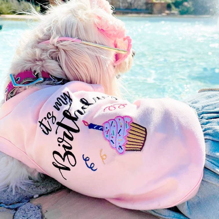 Parisian Pet® – Engroshandel Trøje - Hund – Fødselsdagspige Hund T-shirt – Perfekt til hundefødselsdagsfester
