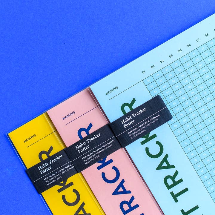 Recess Shop - Wholesale Planner - Habit Tracker Poster : Year1