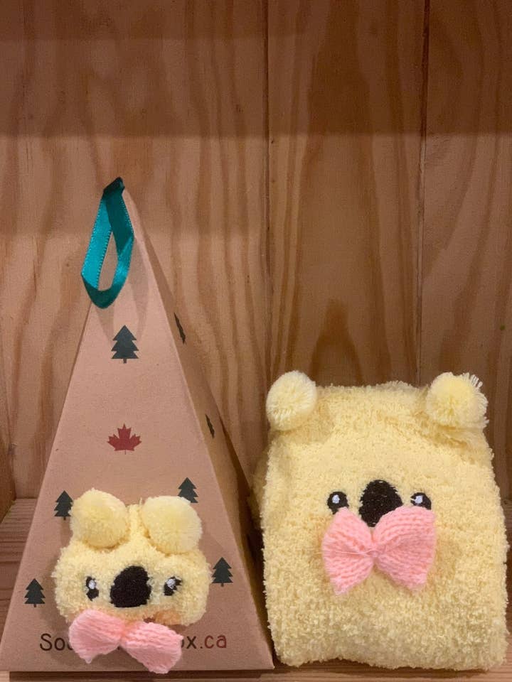 Calcetines de oso Kuala en una caja para venta al por mayor de Socks In A Box