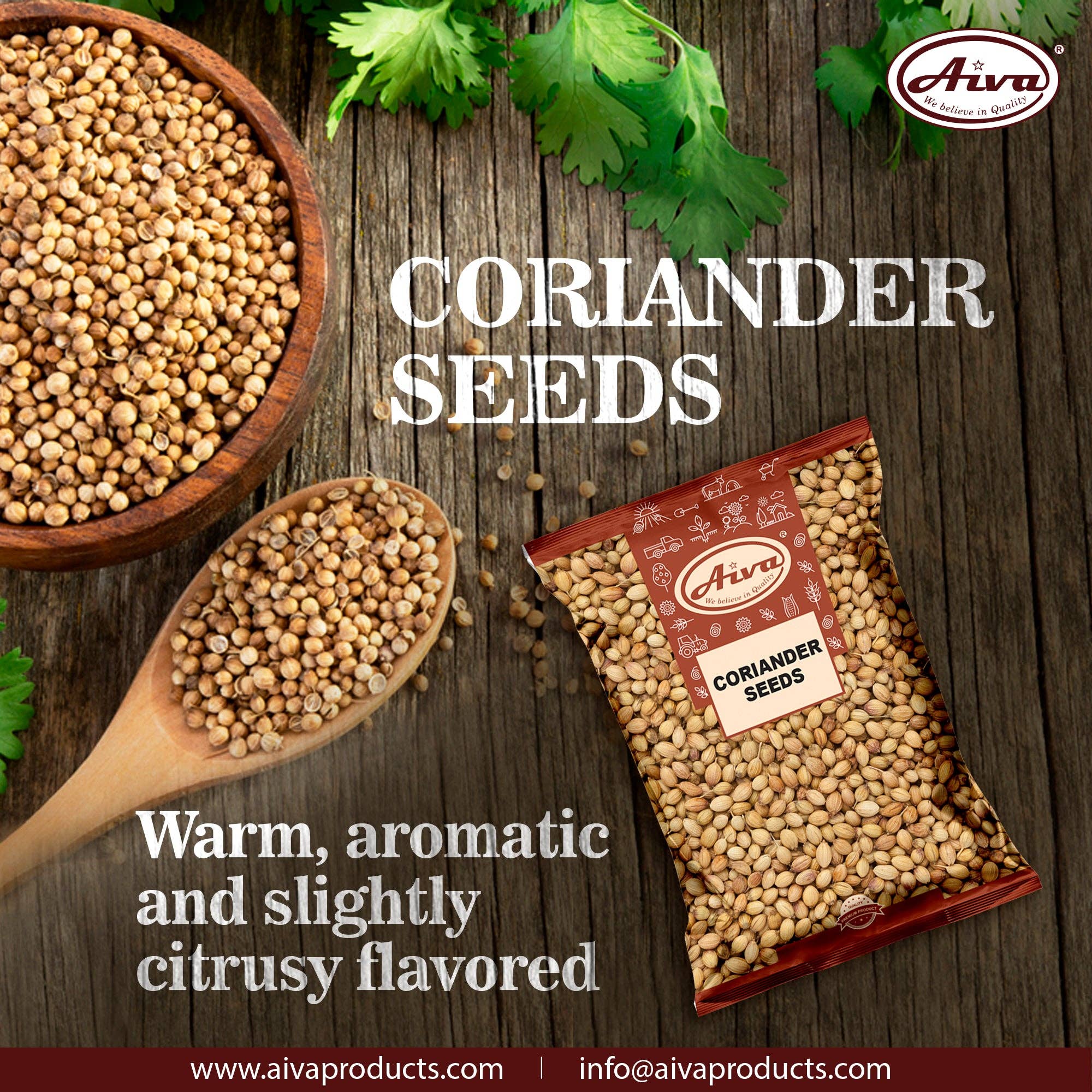 Aiva Products - Wholesale Herbs - Coriander Seeds (Sabut Dhaniya)4