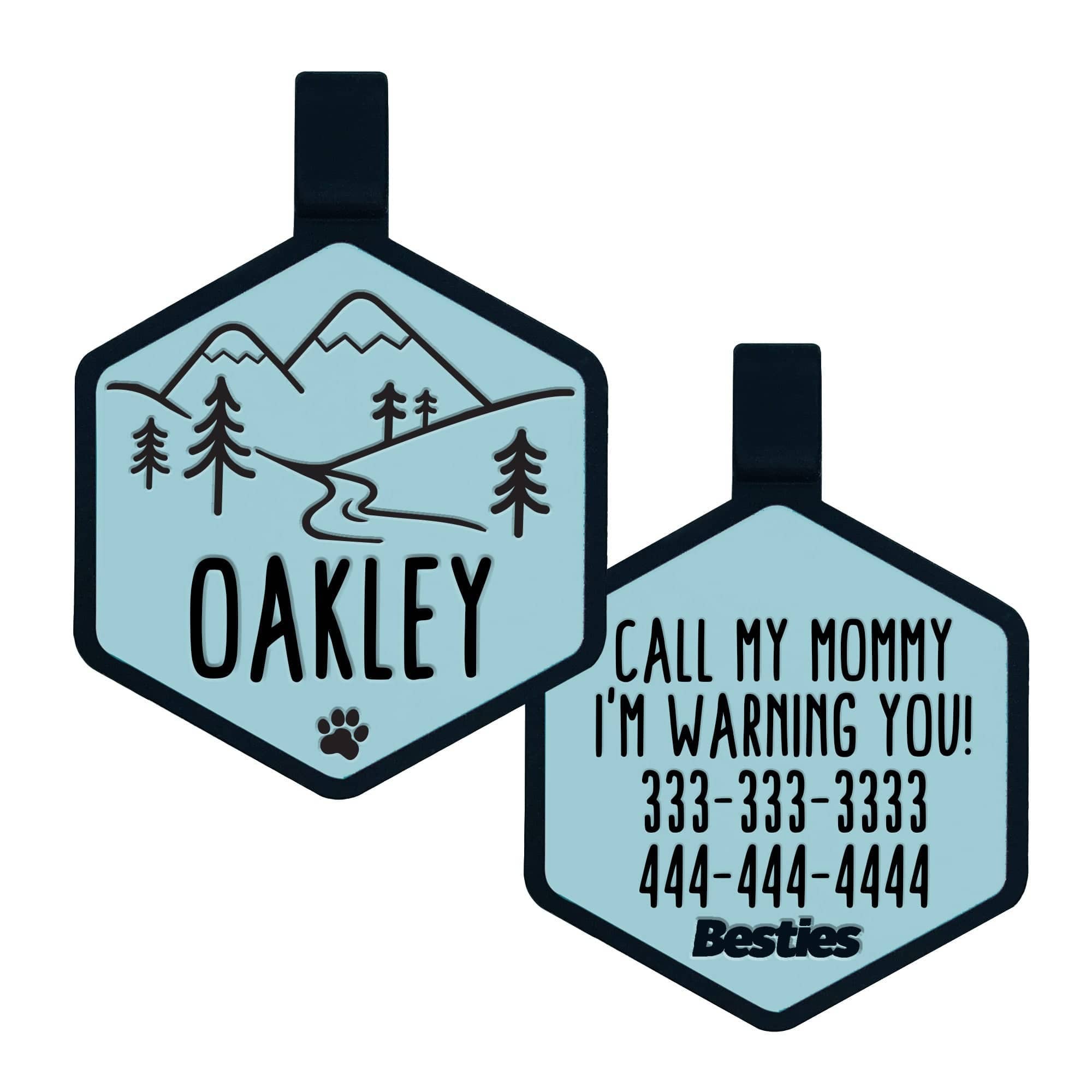 Besties Pets - Vendita all'ingrosso Etichetta per collare - Cani - Targhetta per cane in silicone con tema avventura in montagna14