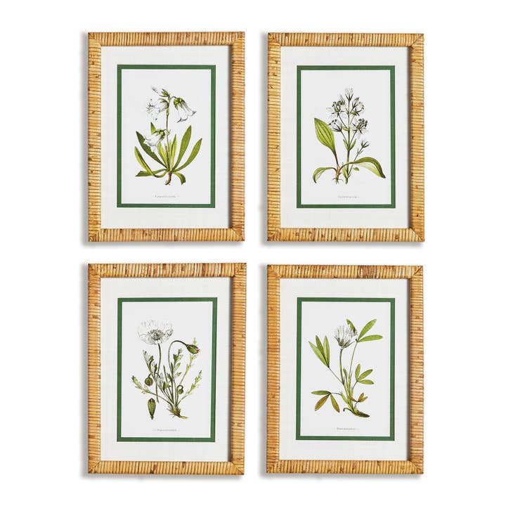 White Floral Study, Set Of 4 for wholesale by Napa Home & Garden