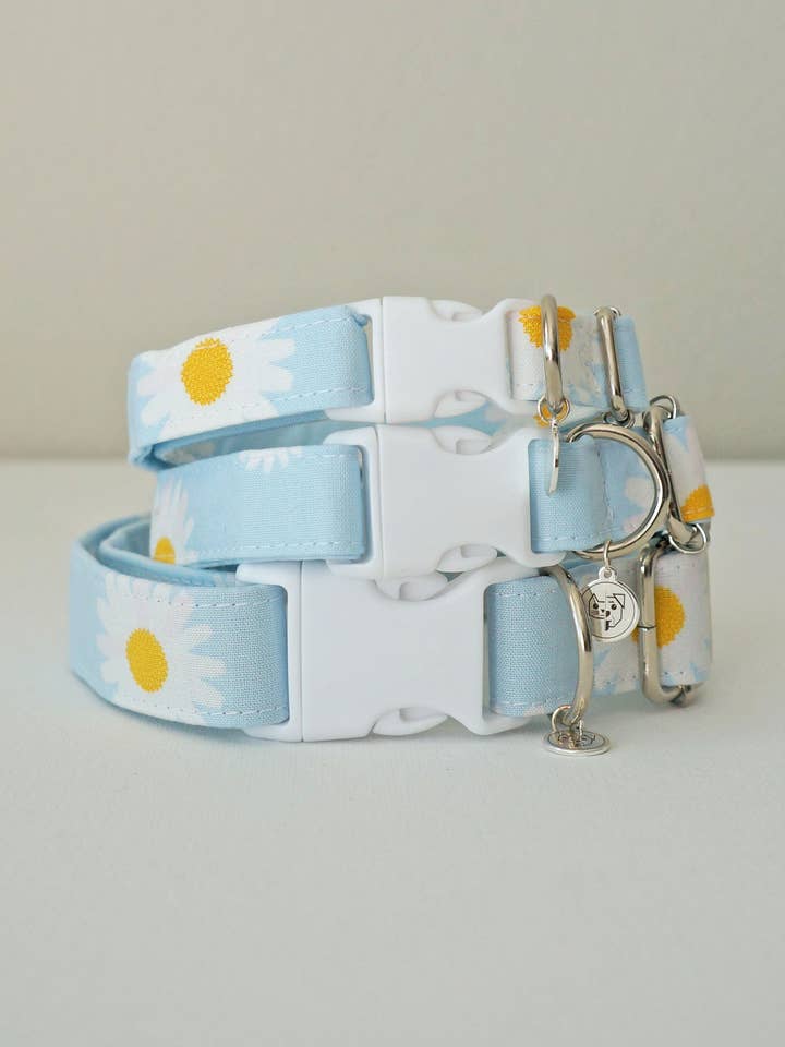 Light Daisy Dog Collar for wholesale by kiwi & WILLOW