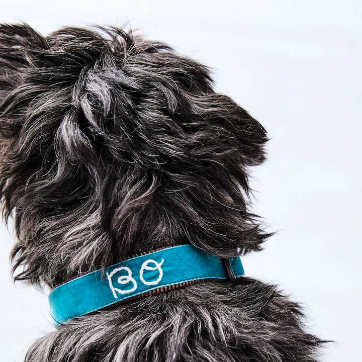 Mimi Green - Wholesale Pet Collar - Dog - Hand Embroidered Dog Collar Personalized w/ Dogs Name12