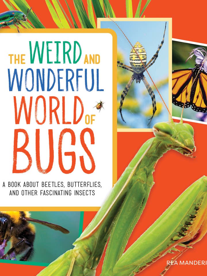 Weird and Wonderful World of Bugs for wholesale by Sourcebooks