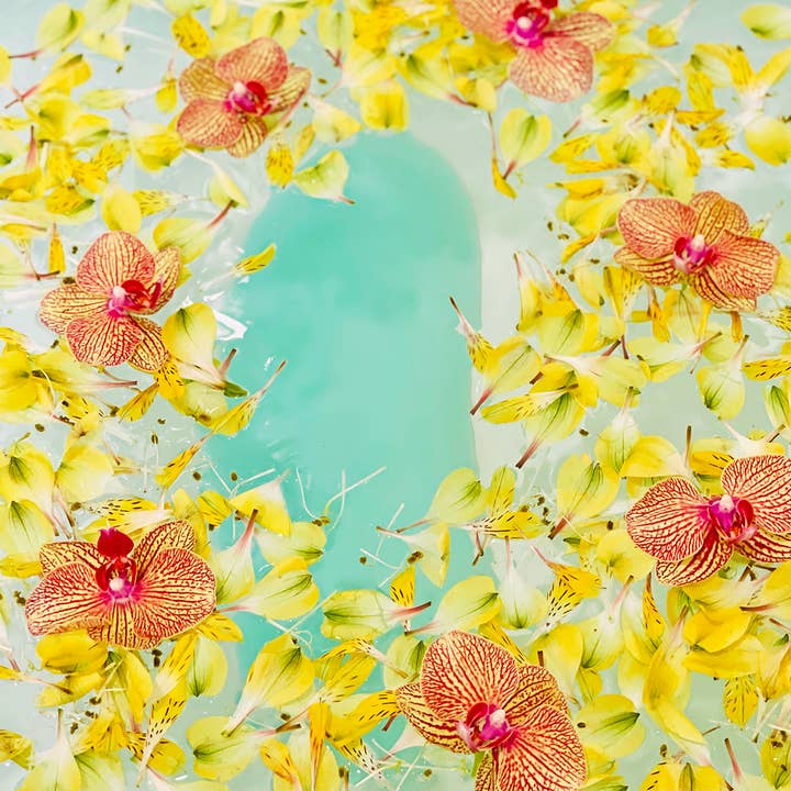 Bath Bean - Wholesale - Bath Bean®16