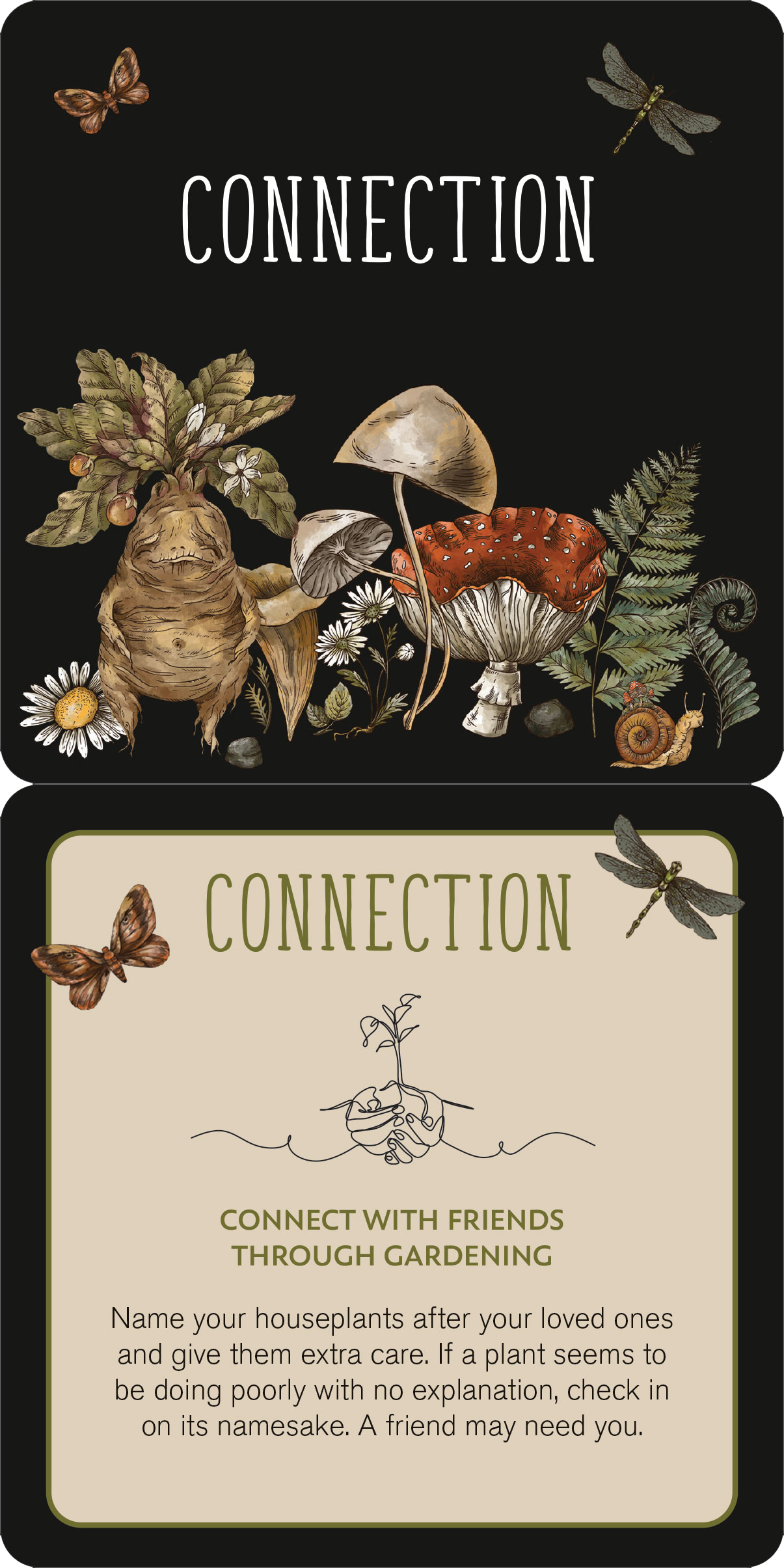 Peter Pauper Press - Wholesale Tarot Cards - Everyday Spells for Busy Witches Insight Cards6