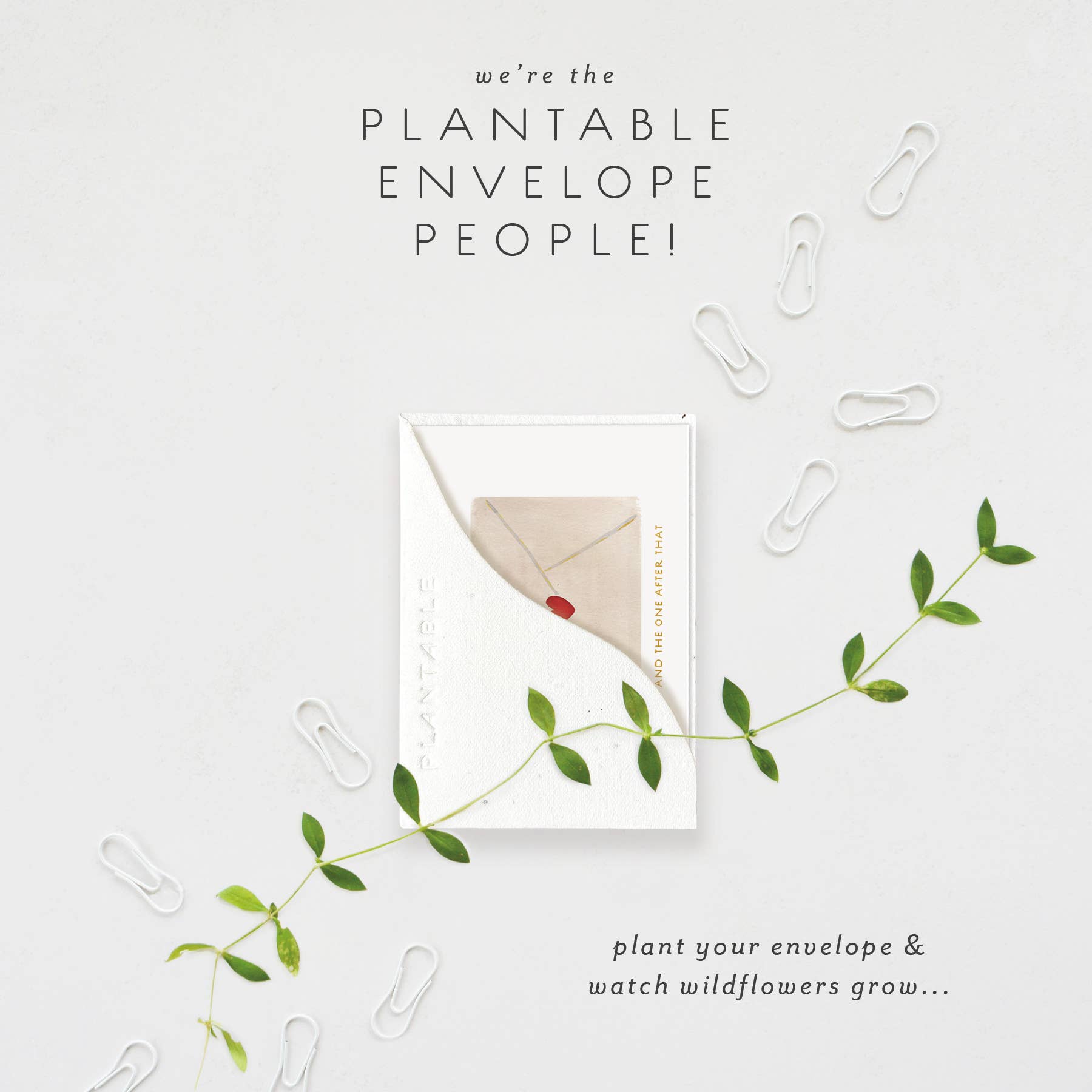 Seedlings - Wholesale Friendship Card - Love Letters Sprout - Love + Friendship Mini Greeting Card1