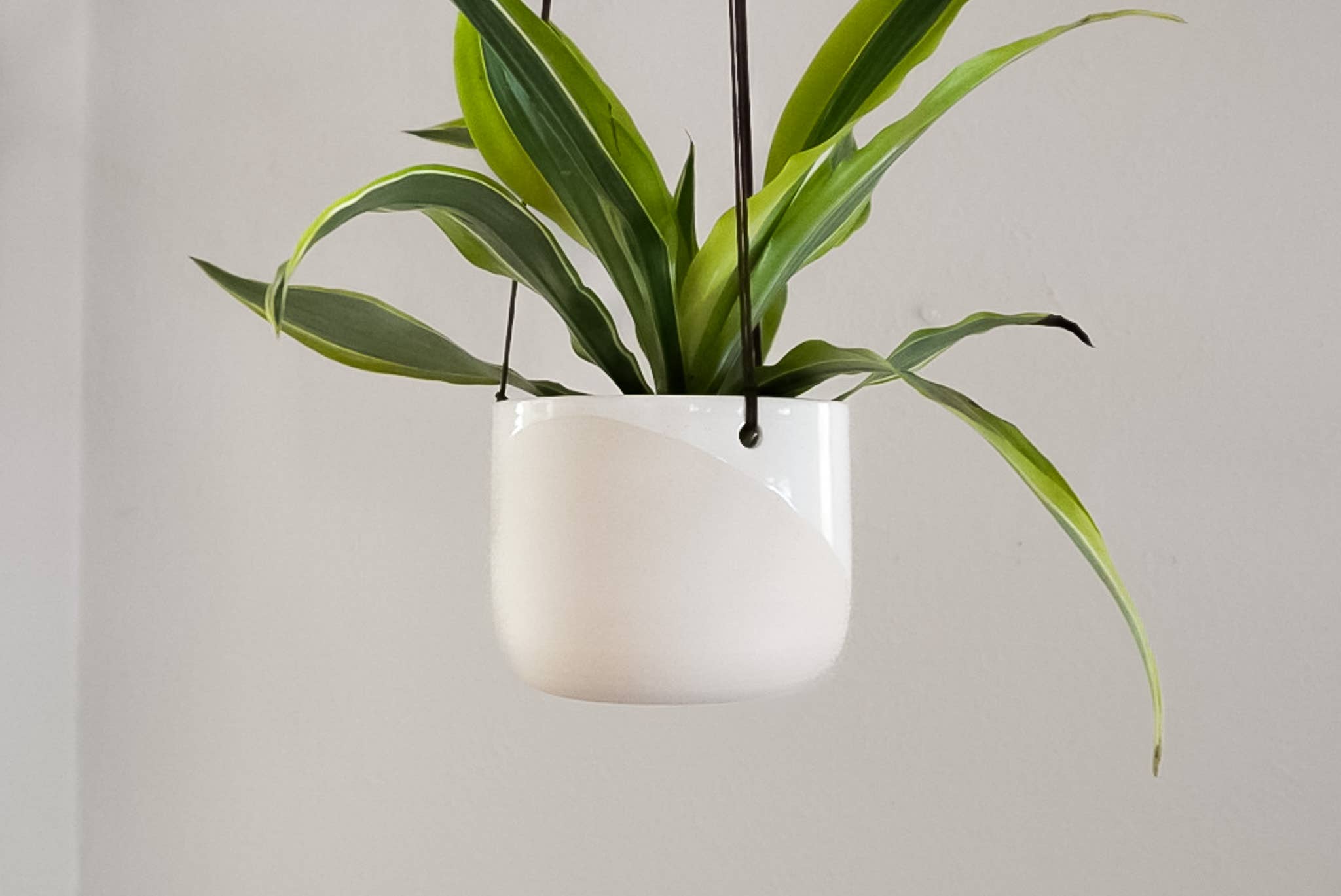 Shelby Page Ceramics - Wholesale Hanging Planter - Hanging Planter - Core Glazes15