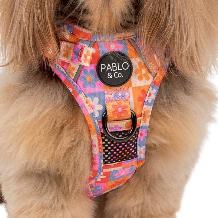 Daisies For Days: No Pull Adventure Harness for wholesale by Pablo & Co. Boutique