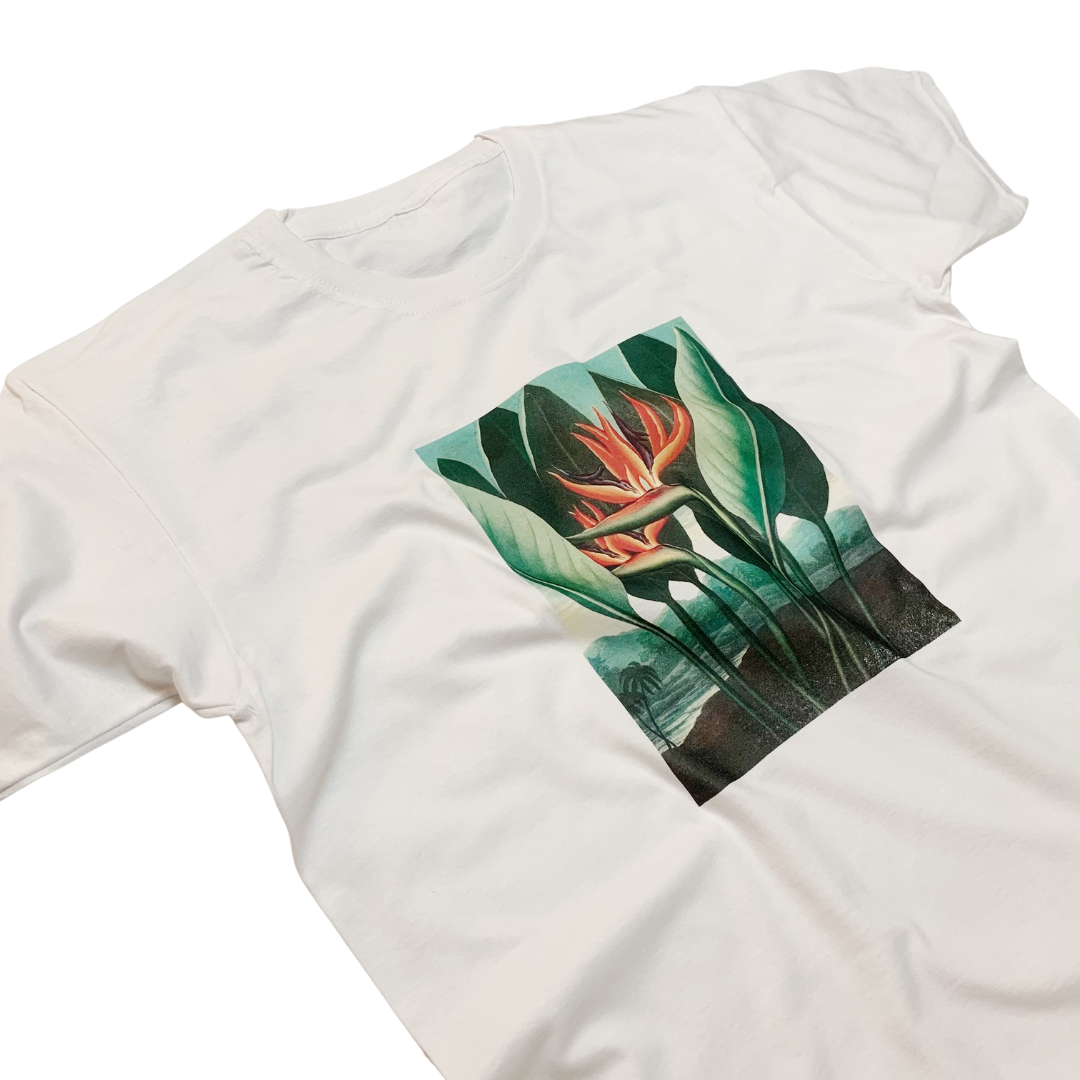 ZZZEBRAAA LIMITED – wholesale Screen printed t-shirt – unisex – The Temple of Flora T-shirt Houseplant Floral Print0