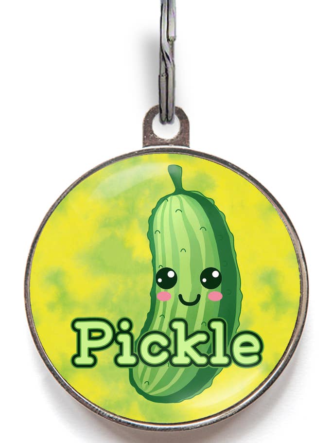 Pickle Smart Dog Tag for wholesale by WagATudeTags