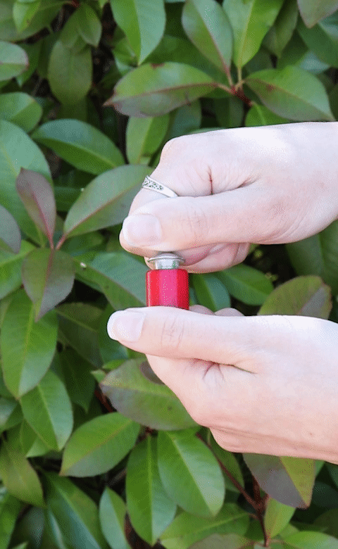 Stemcell Science Shop - Wholesale Decorative Tabletop Object - Wholesale Sample Box9