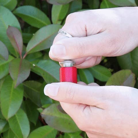 Stemcell Science Shop - Wholesale Decorative Tabletop Object - Wholesale Sample Box9