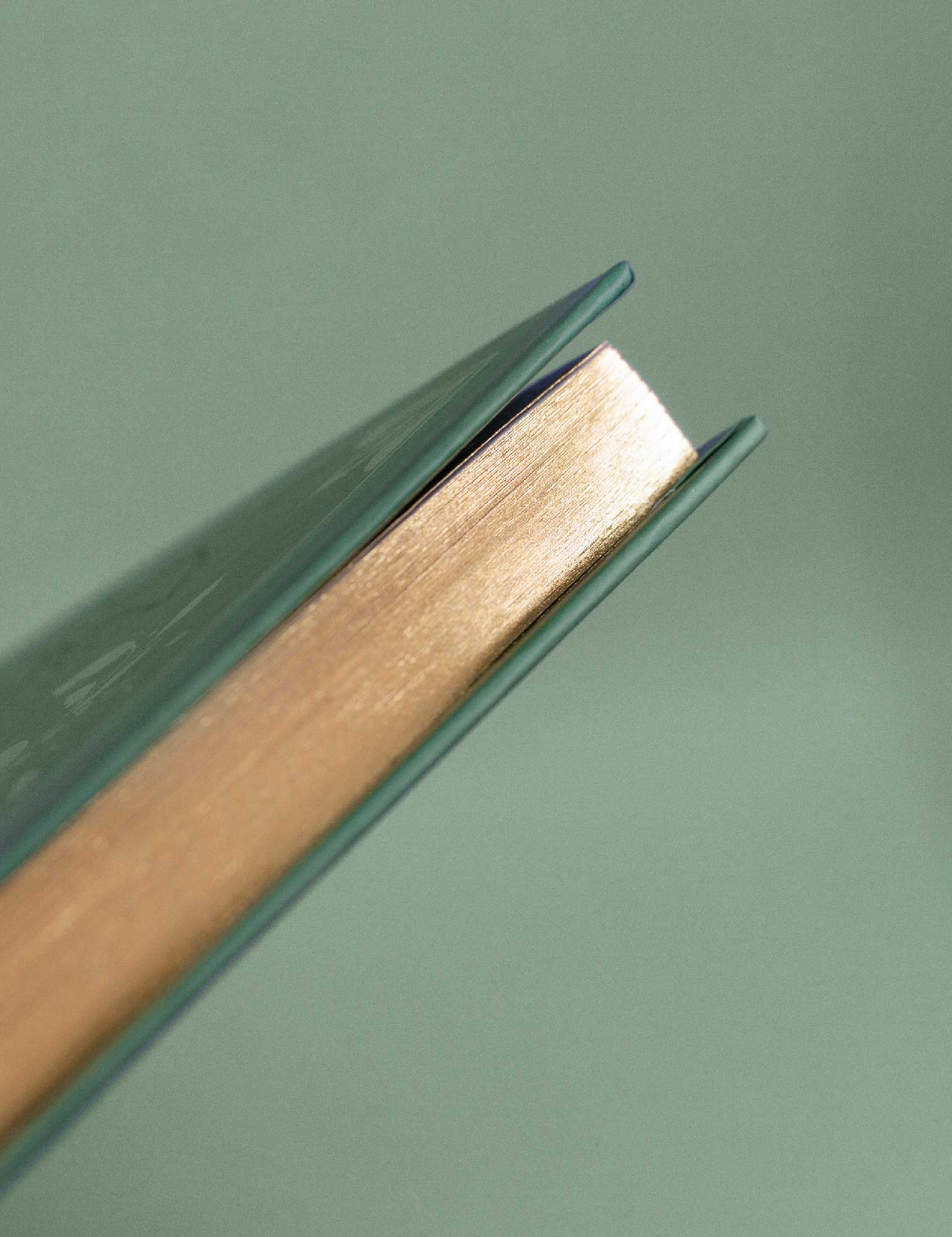 Joanna Behar - Wholesale Journal/Diary - ✦ 1000 Magical herbs & fungi Journal ✦6