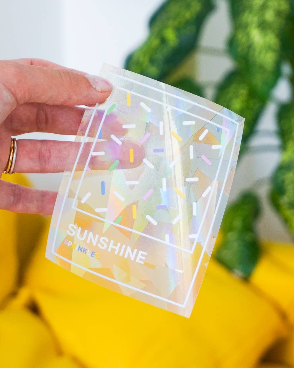 Creative Goodie - Vendita all'ingrosso Adesivo - Adesivo suncatcher arcobaleno, decalcomania per finestra10