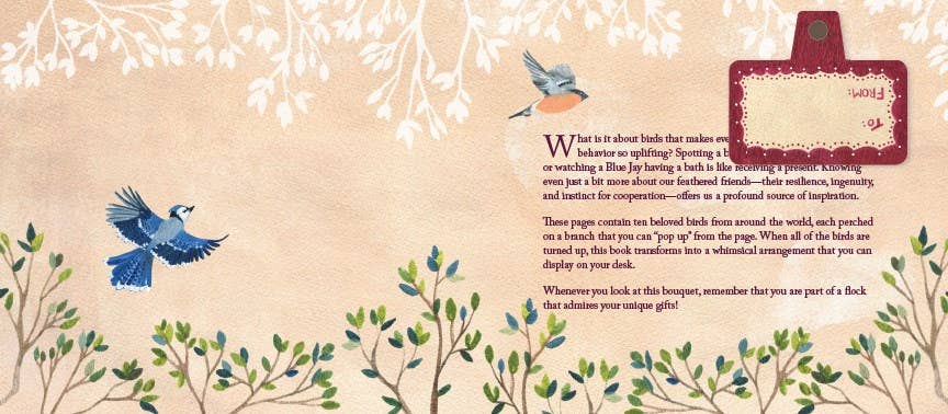 Abrams - Wholesale Display Book - Birds in a Book (UpLifting Editions)1