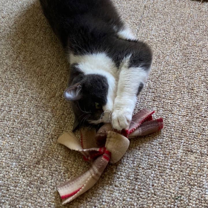 Pets Pizzazz - Wholesale Pet Toy - Cat - Catnip Knots4