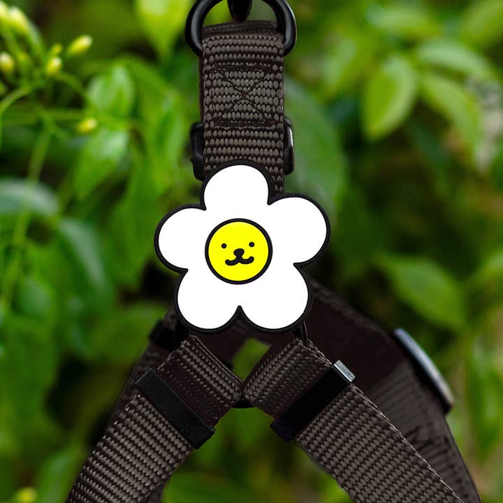 Jiby Dog Crew – Großhandel Halsband-Anhänger – Katze/Hund – Gänseblümchen Hund Jiby