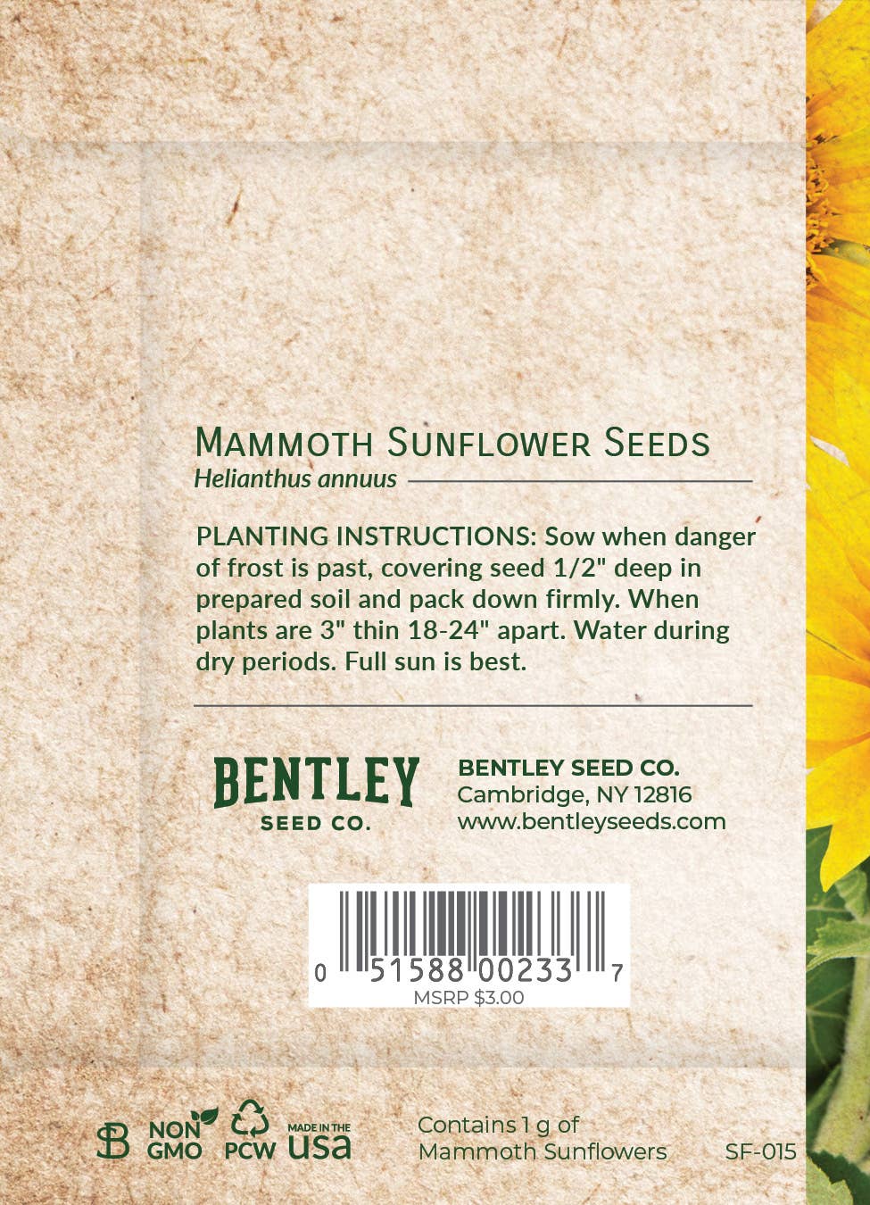 Bentley Seed Co. - Wholesale Thank You Card - Thank You - Mammoth Sunflower1