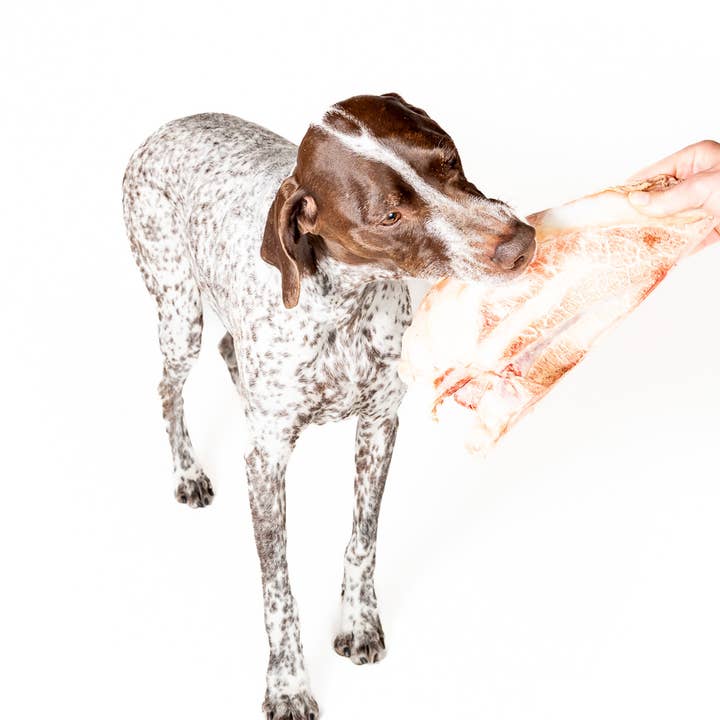 Winnie Lou - Wholesale Pet Treats - Dog - Bison Scapula Chews