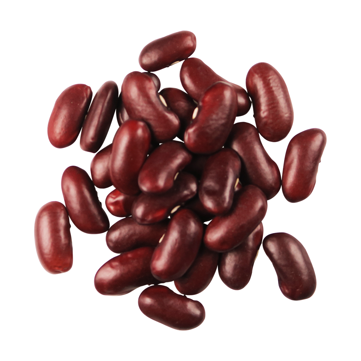 Edison Grainery - Wholesale Beans - Edison Grainery Organic Red Kidney Beans 16 oz2