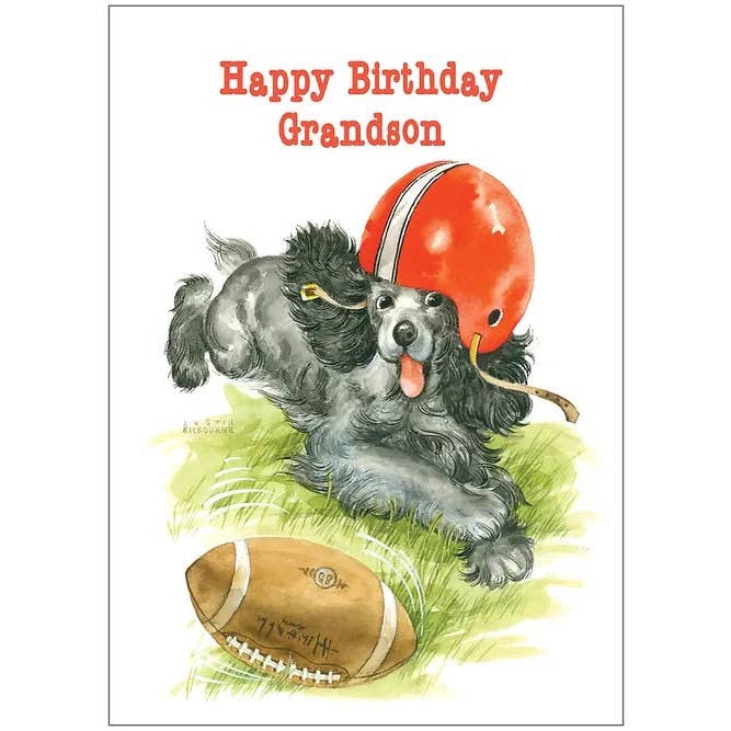 FR0250 Birthday Card Grandson for wholesale by Shade Tree Greetings