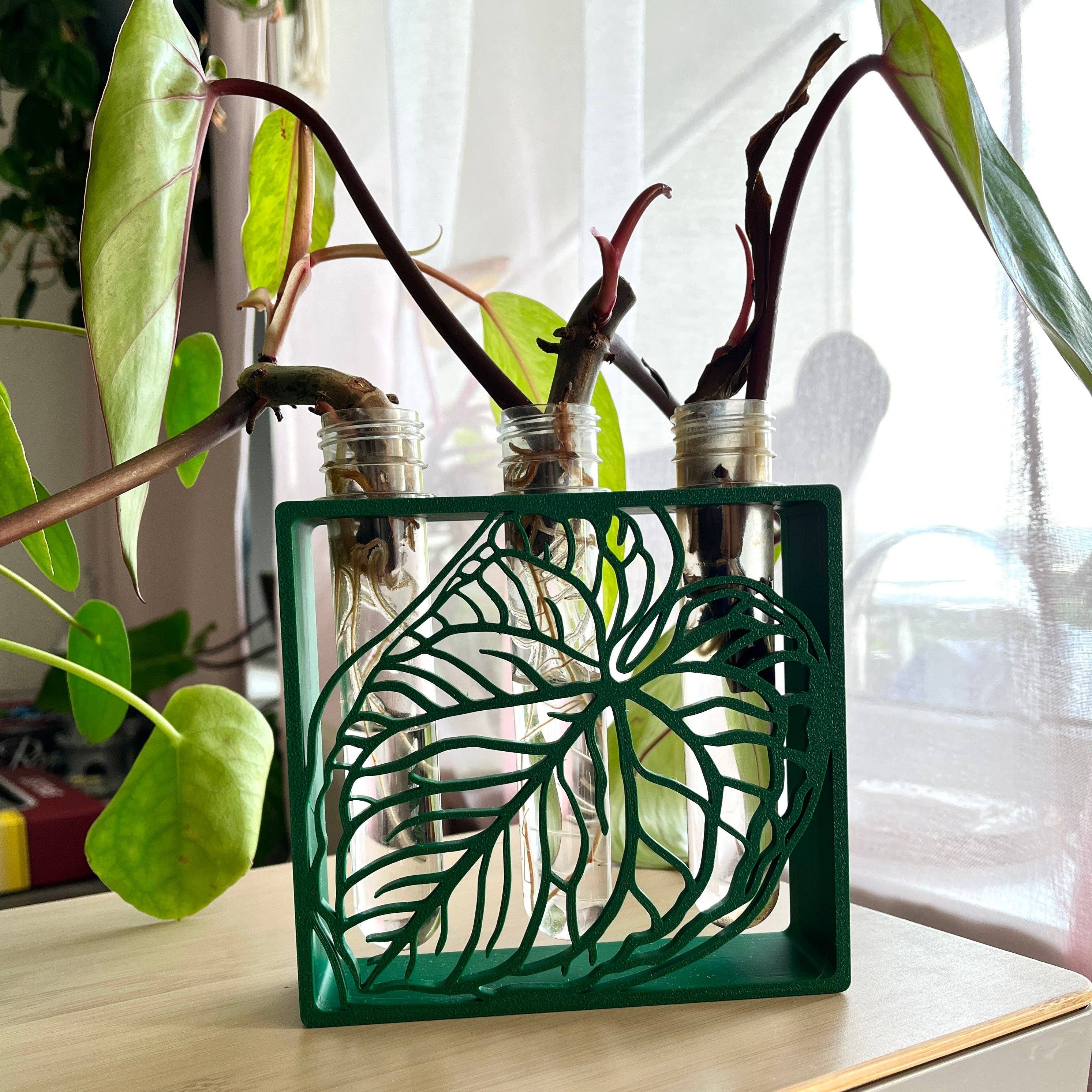 plantyintroverts - Wholesale Plant pot - Anthurium 3D printed nursery1